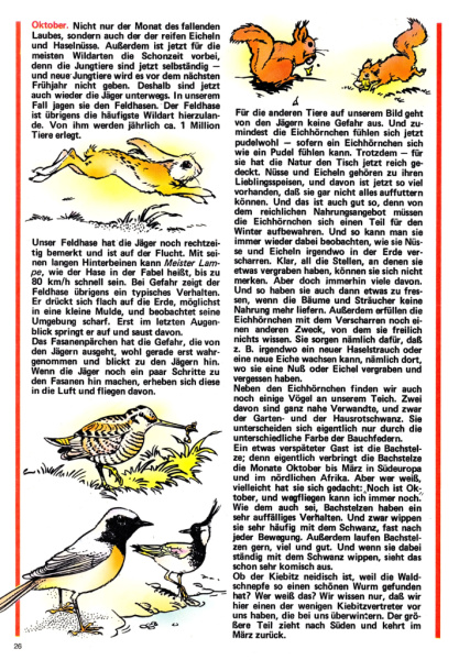 Datei:1979-42 Naturposter-02.jpg