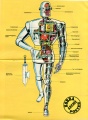 Poster Kobra 1977-37.jpg